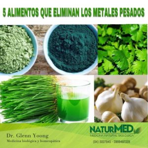 5ALIMENTOSPESADOS